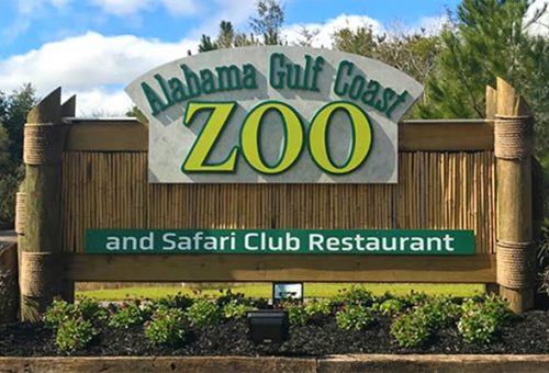 Alabama-Gulf-Coast-Zoo-Featured-Image